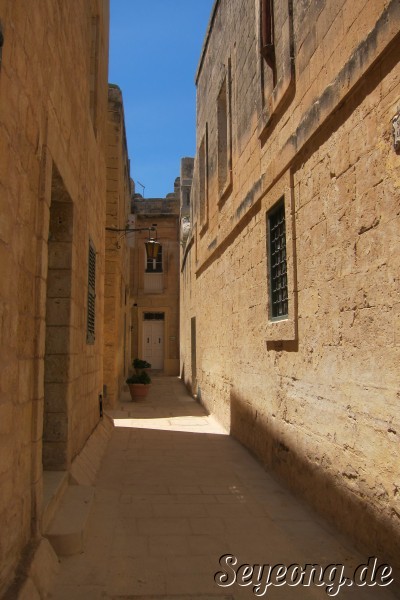 Mdina 7