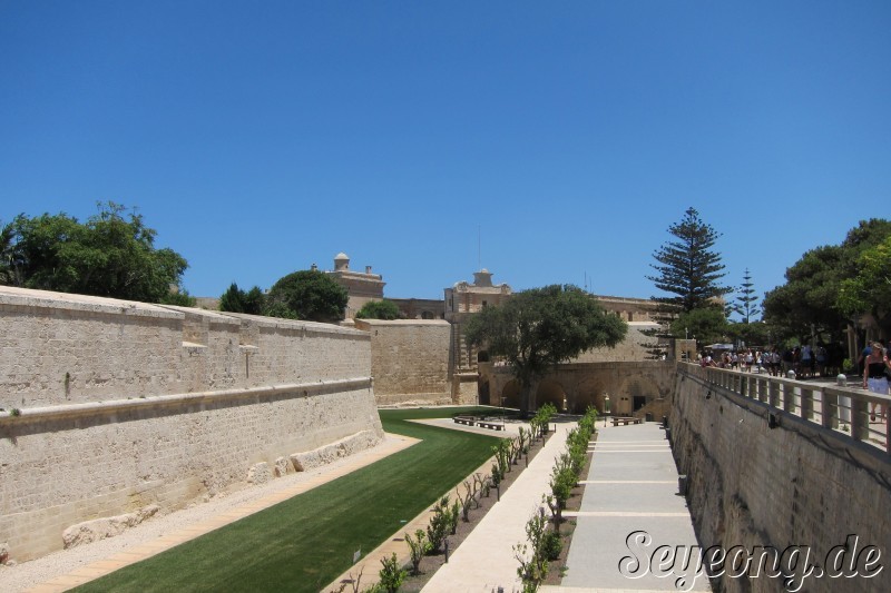 Mdina 25