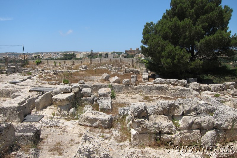 Mdina 28