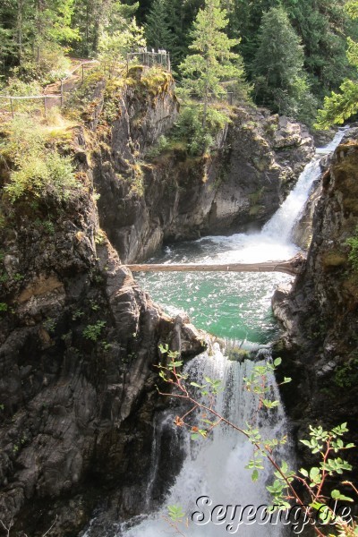 MacMillan Provincial Park