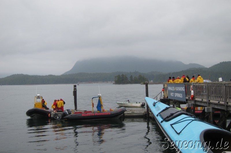 Tofino