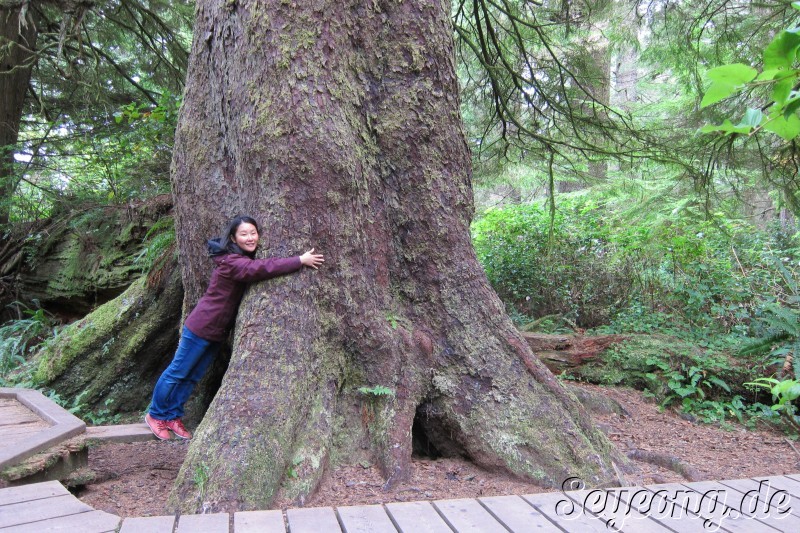 Vancouver Island Tour 3