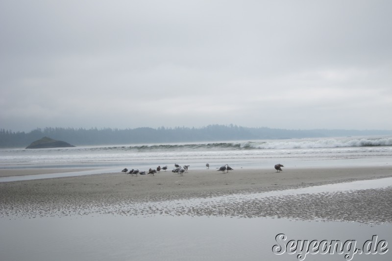 Vancouver Island Tour 12