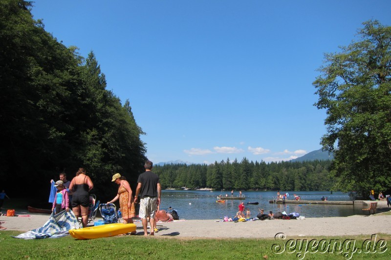 Swimming in a Lake 4