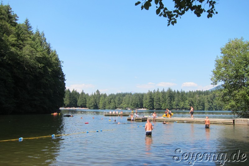 Swimming in a Lake 2