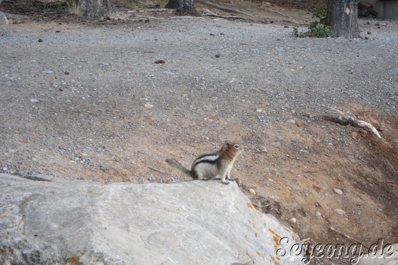 Banff National Park 6