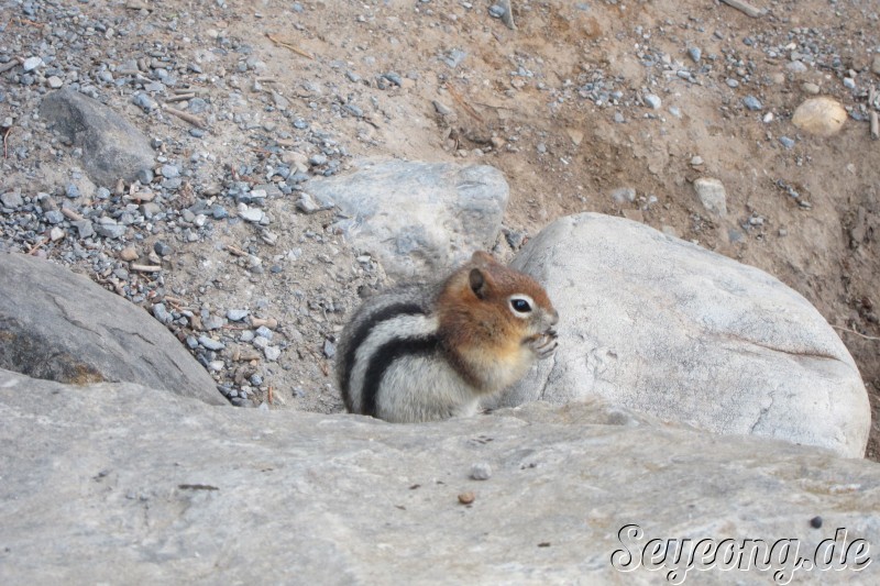 Banff National Park 7