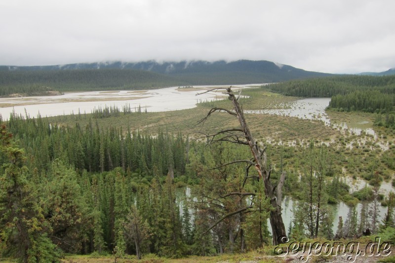 The North Saskatchewan River 2