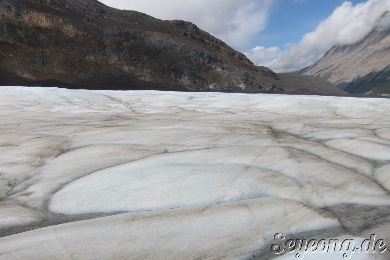 View of Glacier 4