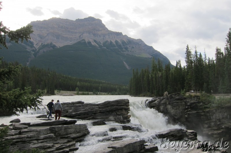 Athabasca Falls