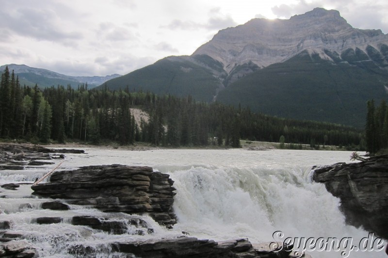 Athabasca Falls 2
