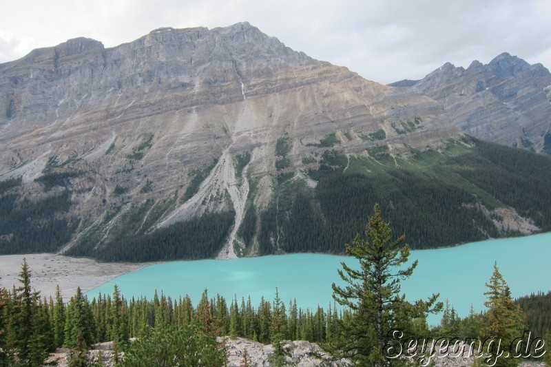 Peyto Lake 2