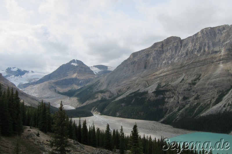 Peyto Lake 3