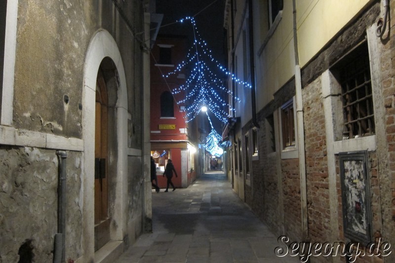 Night Walkint at Venezia 4