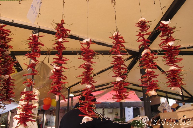 Fish Market in Venezia 4