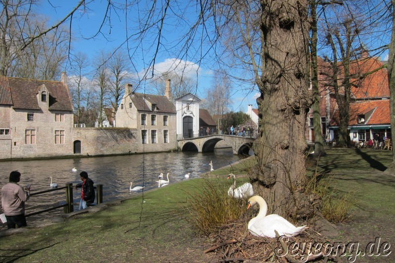 Bruges 7