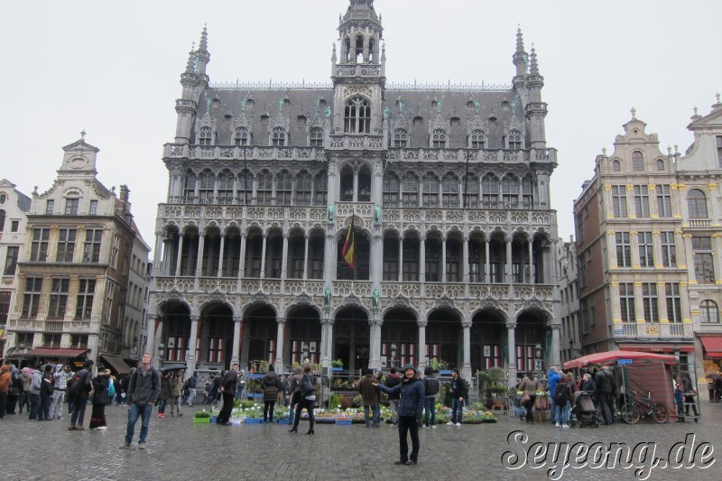 Brussels 9