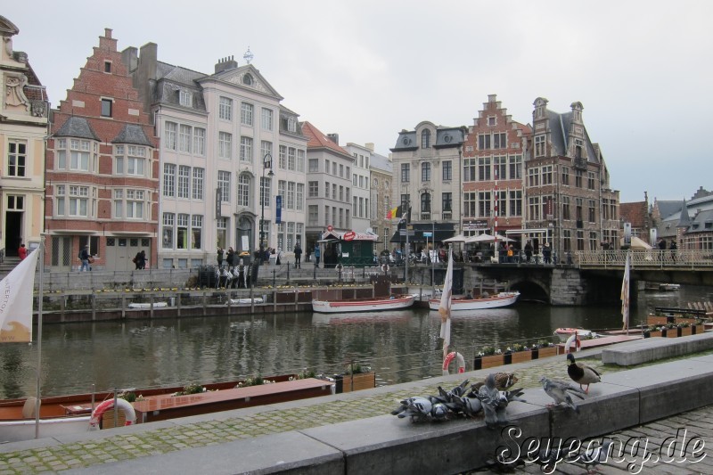 Ghent 7