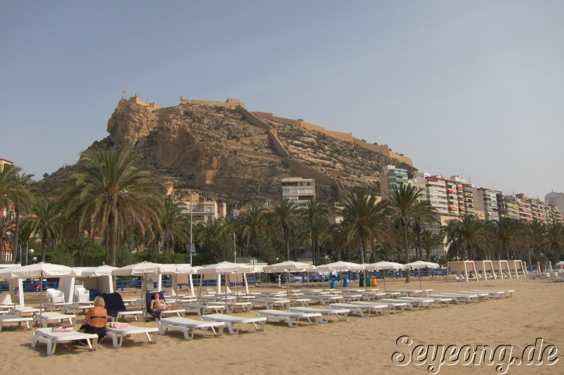 Alicante 5