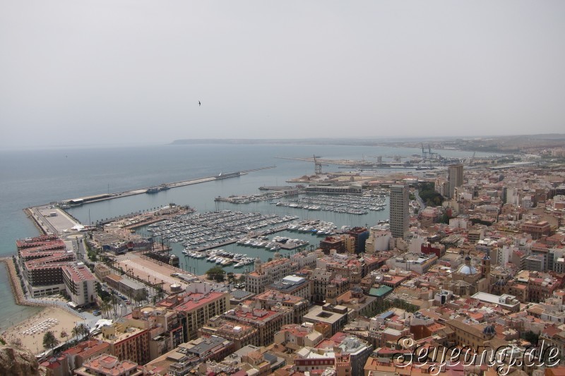 Alicante 26