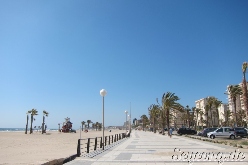 Alicante 48