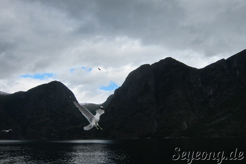 Fjord 14