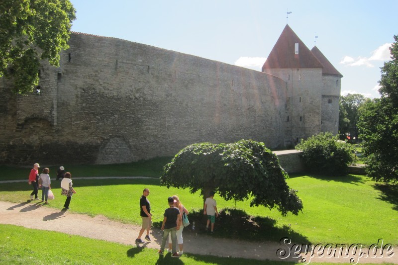 Tallin 16