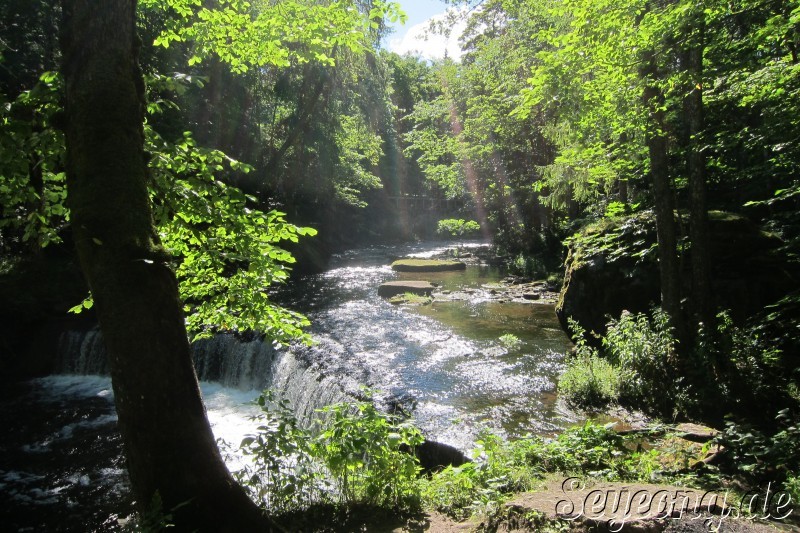 Lahemaa National Park 4