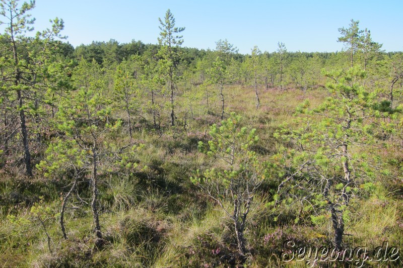 Lahemaa National Park 29