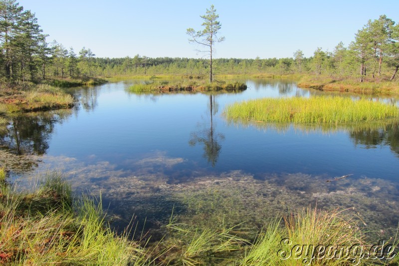 Lahemaa National Park 32