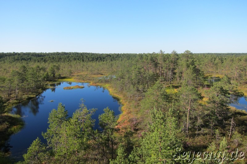 Lahemaa National Park 37