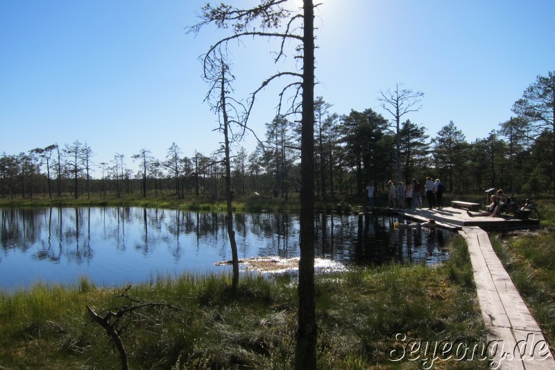 Lahemaa National Park 39