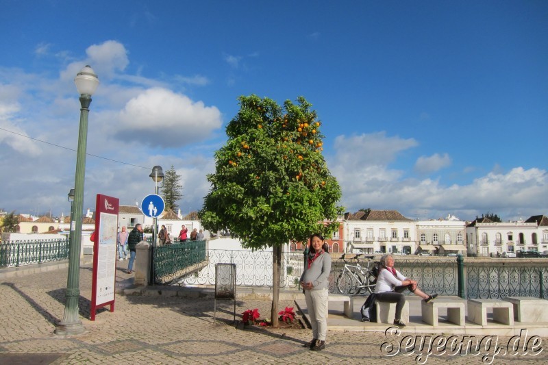 Tavira 8